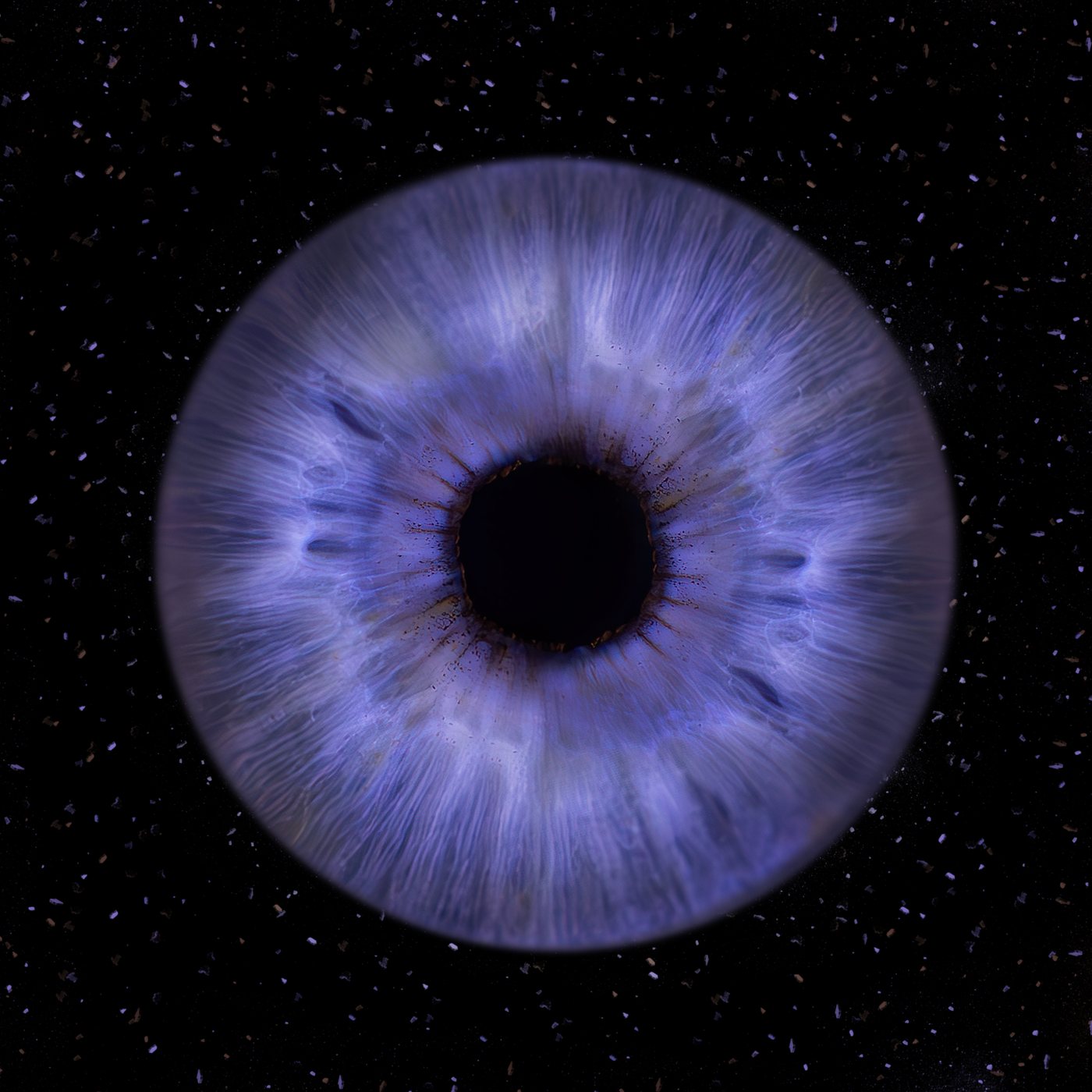 Blauwviolette iris groot in beeld op een zwart veld met lichtspikkels als sterren
